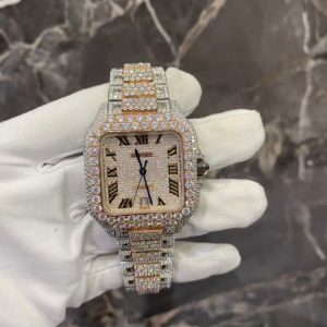 Laboratory Diamond Watch